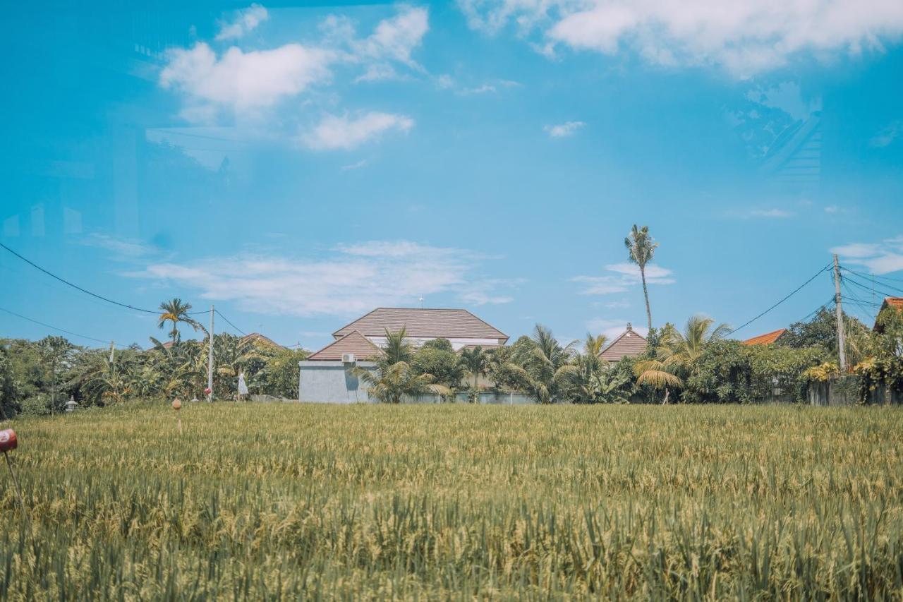 Gajah Villa By Betterplace Canggu Εξωτερικό φωτογραφία
