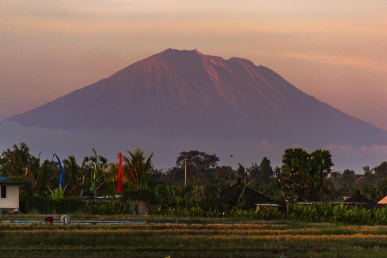 Gajah Villa By Betterplace Canggu Εξωτερικό φωτογραφία